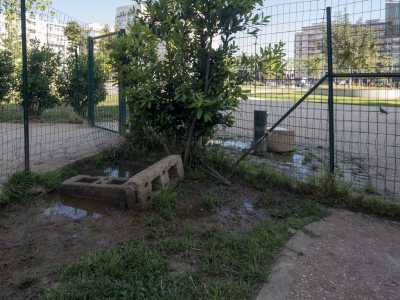 In un angolo si � creato un pantano dovuto a un tubo dell�irrigazione che perde acqua: si � formata cos� una pozza di fanghiglia nella quale i cani vanno a sguazzare per la disperazione dei padroni